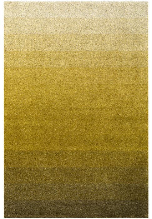 RUG-STEPPE-RECT.jpg Rug Steppe Color gradients