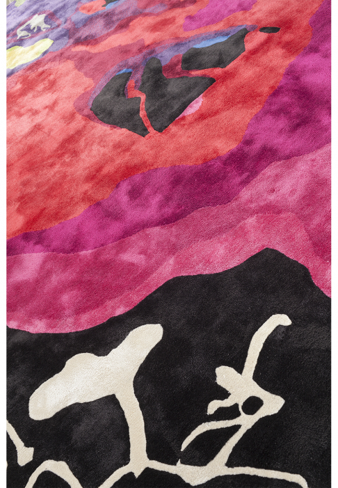 Tapis couleurs vives, détail gros plan