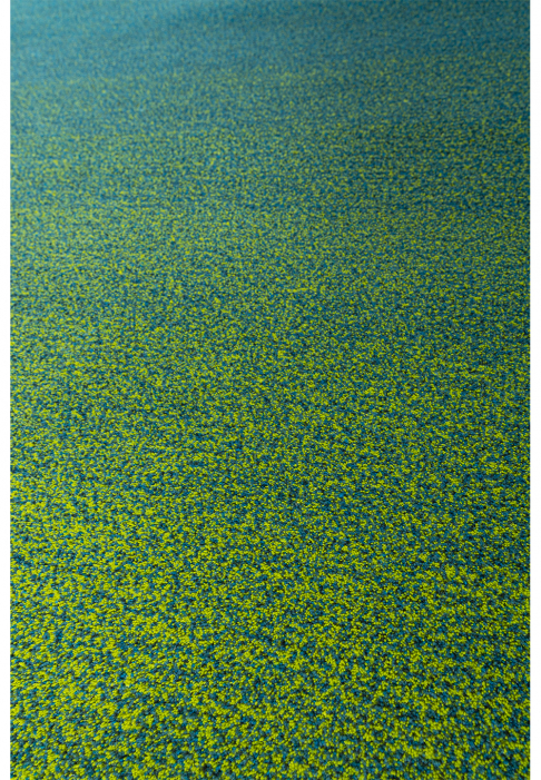 Tapis gradients de couleurs Fonds marins, détail gros plan