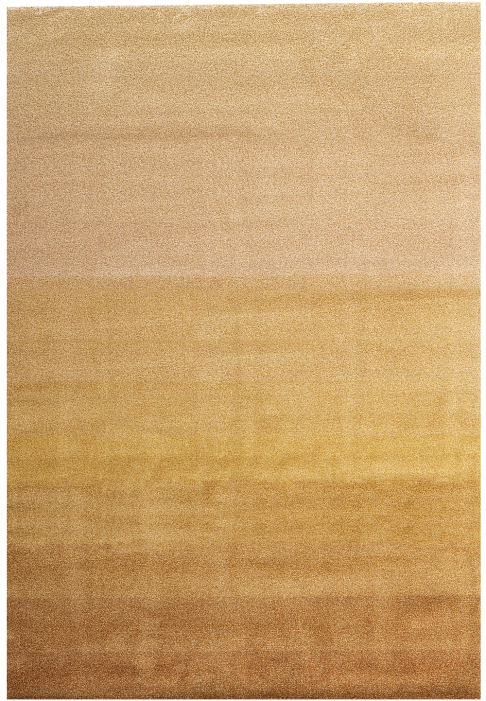 Tapis rectangulaire avec dégradé couleurs